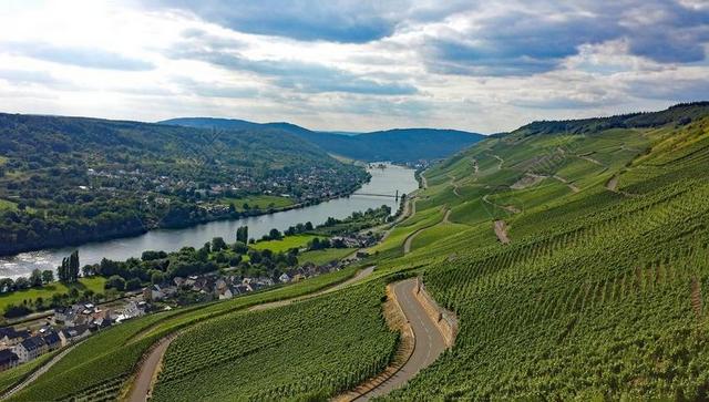 GRAACH 养羊场 MOSEL 萨克森 德国 酒 葡萄园