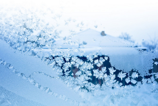 24节气白露寒露白鹭素材