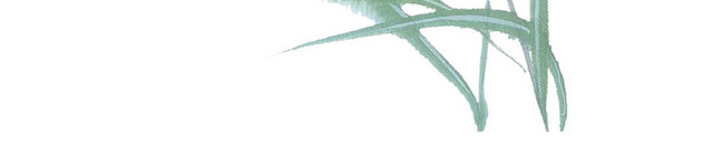 芦苇水草冬天白露寒露24节气素材