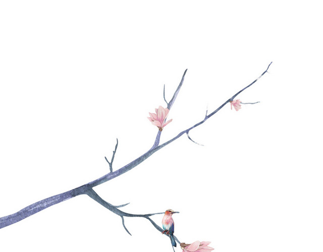 古风树枝24节气白露海报素材