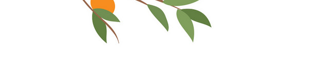 中秋佳节中秋节柿子免抠图