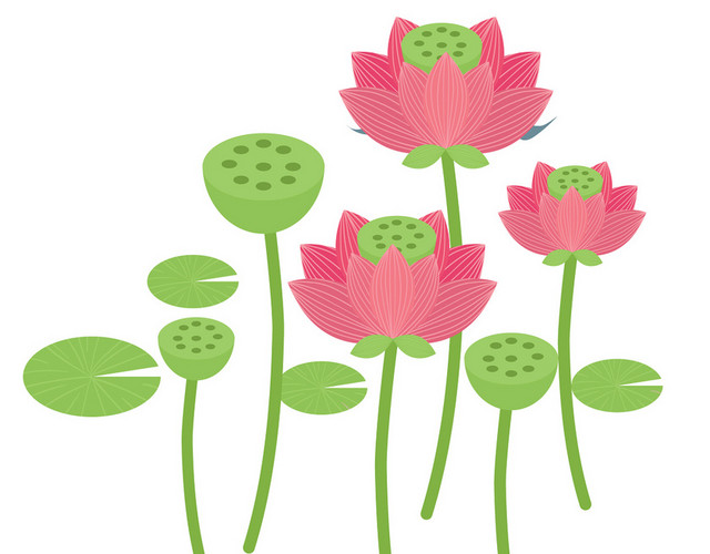 中秋佳节中秋节漂亮荷花免抠图