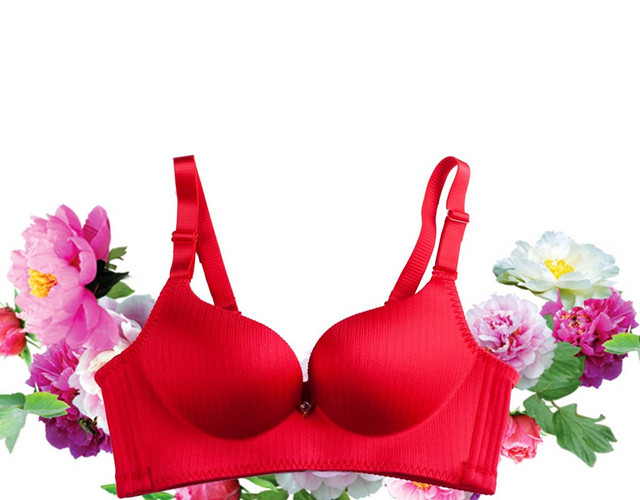 服装红色内衣手绘花朵素材