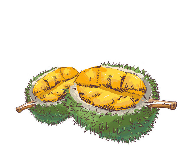 手绘卡通榴莲水果素材