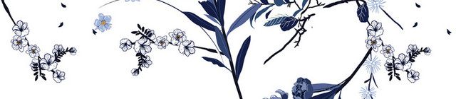 蓝色高雅菊花PNG素材