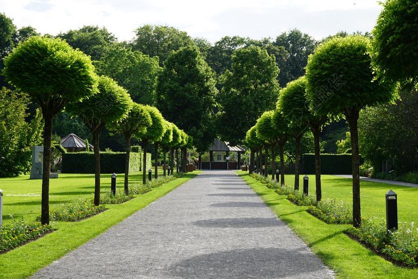 公园 植物园 奥格斯堡 德国 旅游 植物学