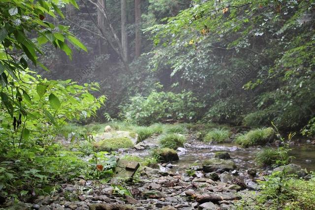深山峡谷深 山 河 天然石材 自然 洪流 日本