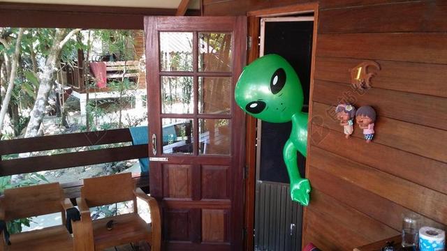 外国人 ALIE 绿色 外星人 绿男
