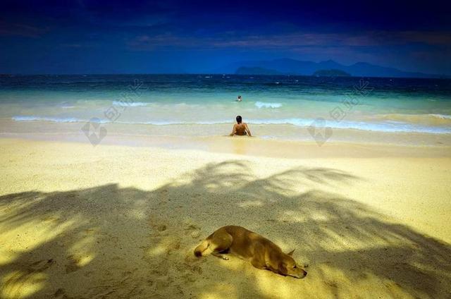 海滩上的狗和男人背景图片