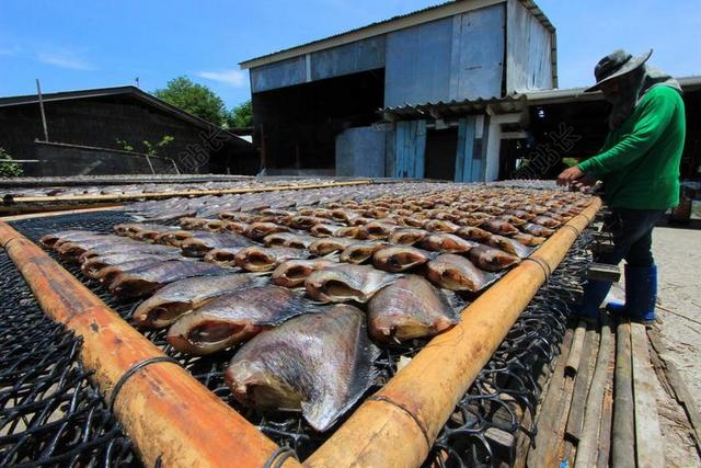 淡水的鱼 烧烤 中国人民解放军拉特 竹。 太阳 家 天空 午餐