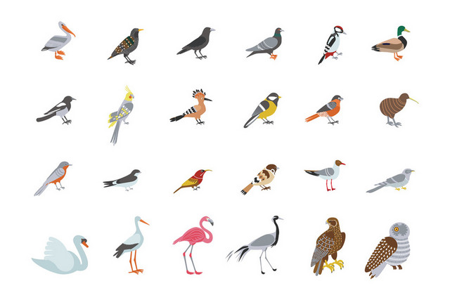 彩色鸟类动物卡通剪影素材
