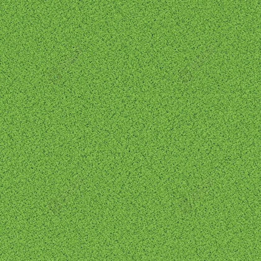 草 绿色 纹理 背景 壁纸 艺术