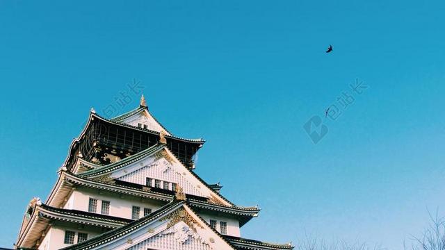 日本 建筑 大阪城