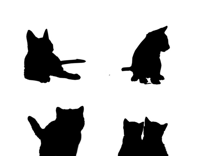 黑色猫咪剪影动物素材