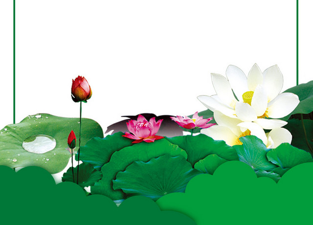 扁平绿色夏天处暑莲叶莲花海报素材
