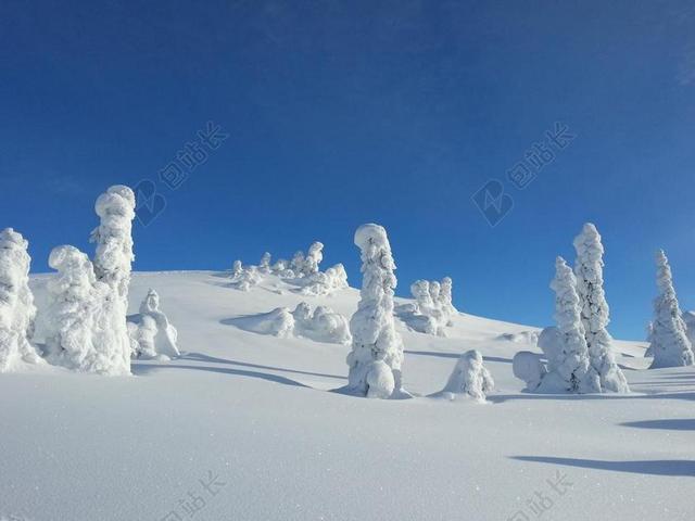 冬天 雪 树 挪威 KVITFJELL 冷 冬天背景 冬季景观
