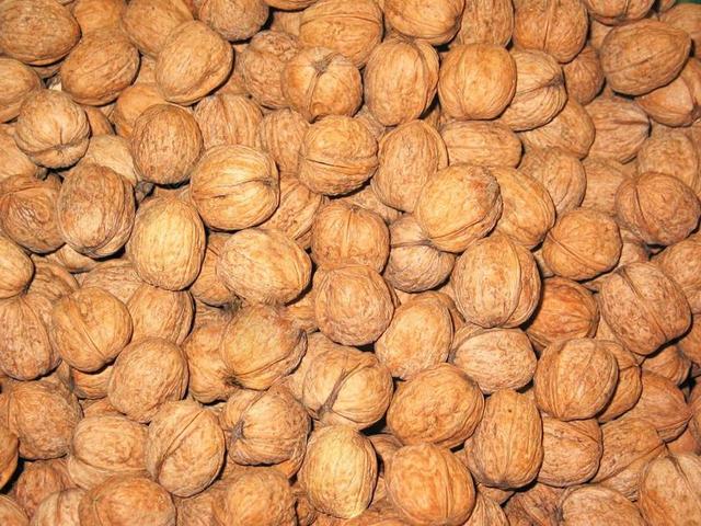 核桃 坚果 健康 食品 营养 吃 布朗  烤 圣诞节