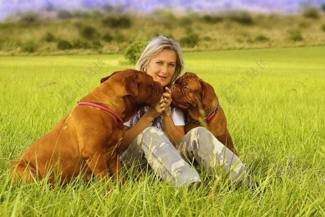 狗 女孩 德 DOGUE 年轻 波尔多 藏獒 法语 女人