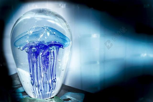海蜇 蓝色 玻璃 玻璃 水 水族馆 生物 水下 艺术