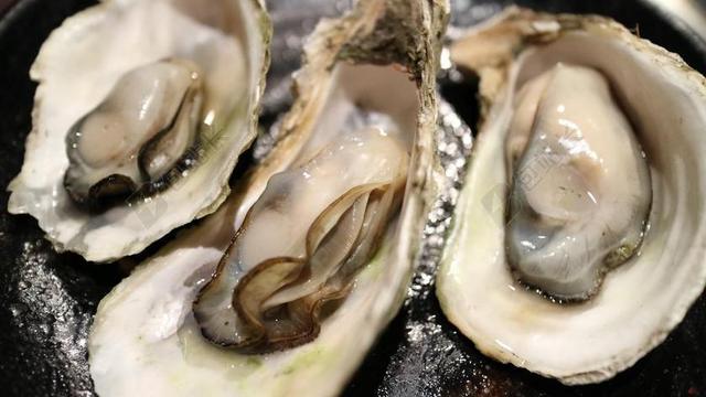 牡蠣 生蠔 貝殼 蚌 干貝 海鮮 海產 燒烤