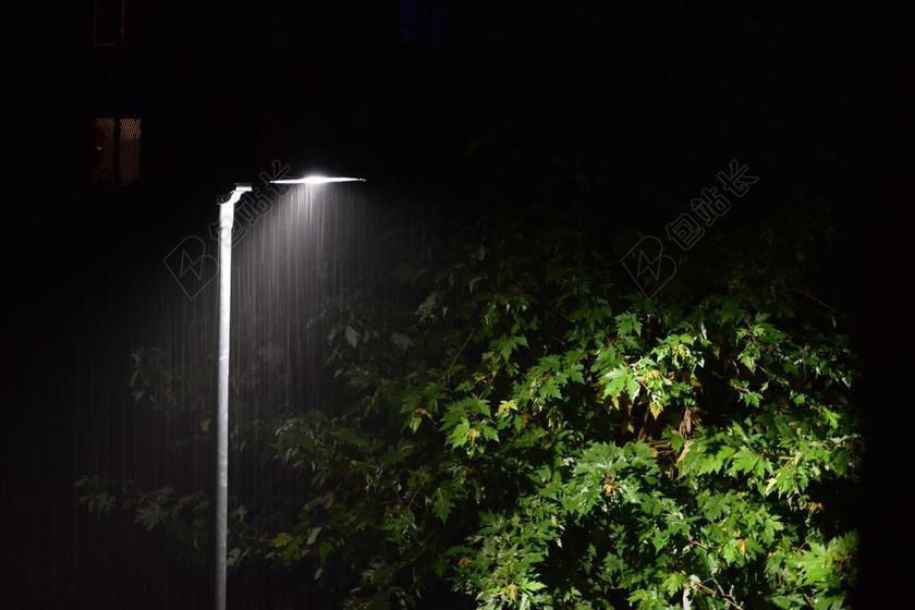 雨 灯笼 树 夜 街 户外 容易 滴