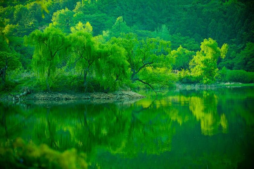 业务 储集层 湖 大自然 景观 风光 水 打破 绿色