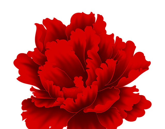 红色花朵花卉新年素材
