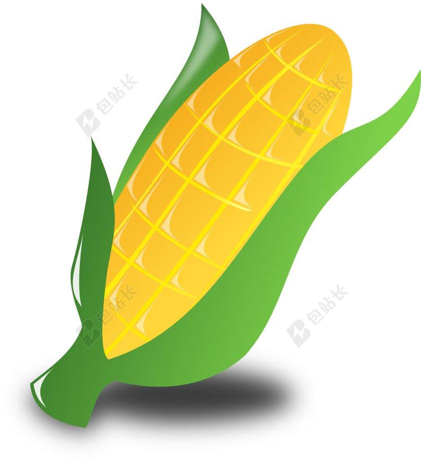 黄色的卡通玉米图案背景图片