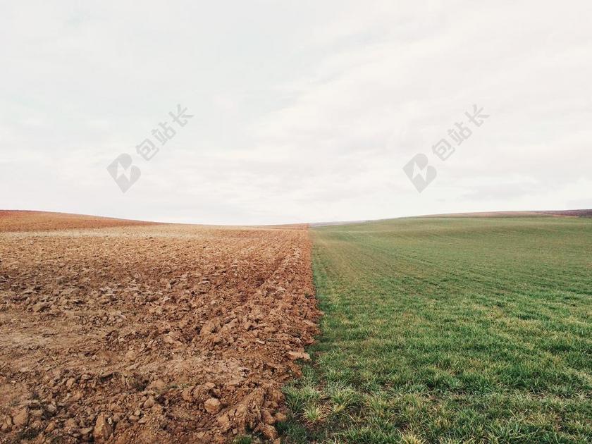 绿色的草地和荒漠背景图片