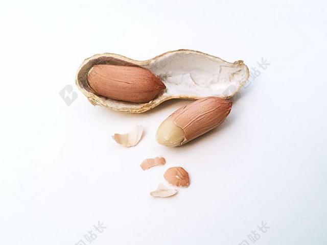 花生 坚果 花生壳 壳 果壳 NUTMEAT 核