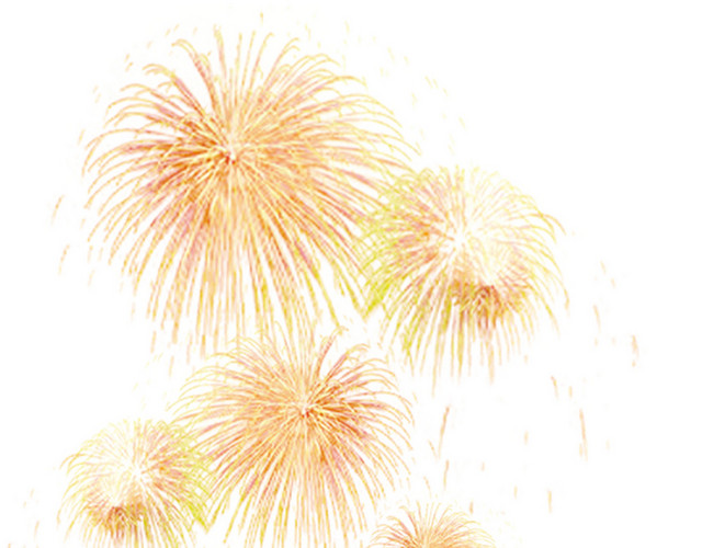 金色新年春节过年除夕国庆烟花