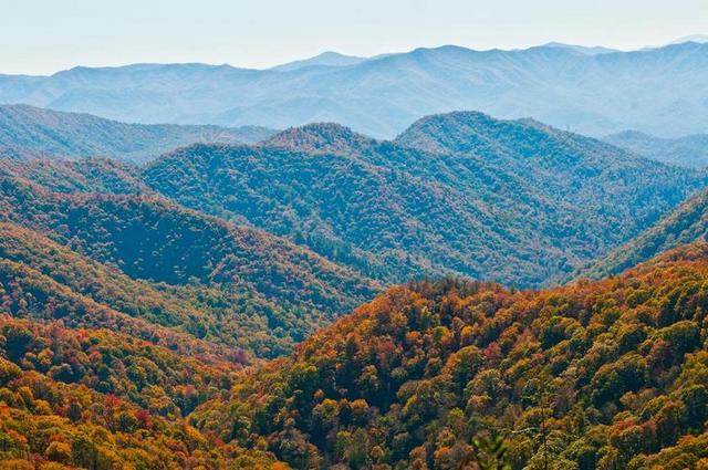 户外 公园 景观 黑烟山 景区 叶子 山 阿巴拉契亚 风景