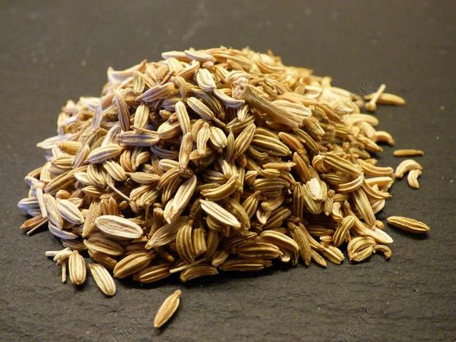 小茴香 种子 草本植物 食品 吃