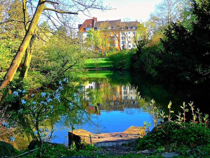 自然田园高楼外的湖草地树林绿化自然山水背景图片