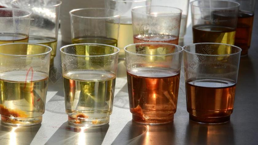 解决方案 化学 科学 尝试 生物学