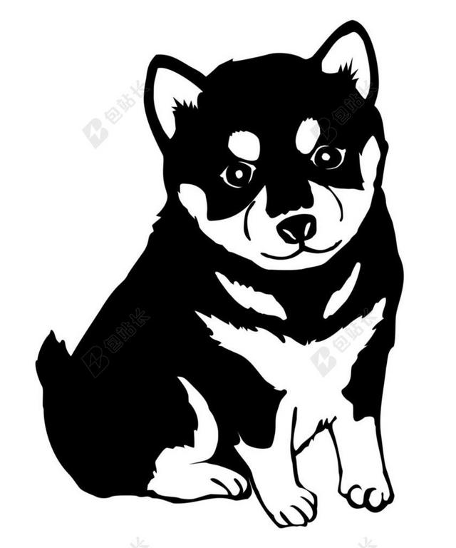 柴犬 狗 小狗 可爱 日本