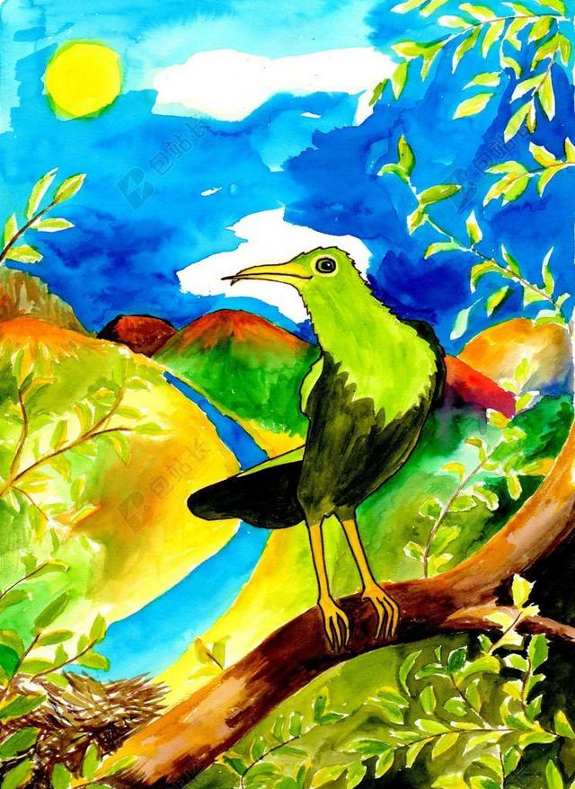 水彩 插图 绘画 鸟 艺术