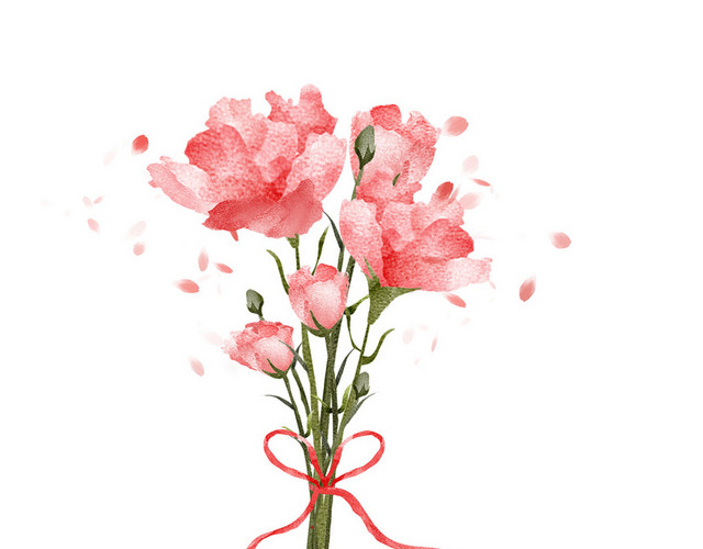 母亲节节花康乃馨PNG素材
