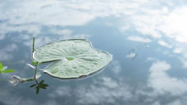 蓝绿自然清新倒映的蓝天和漂浮荷叶自然水风景背景图片