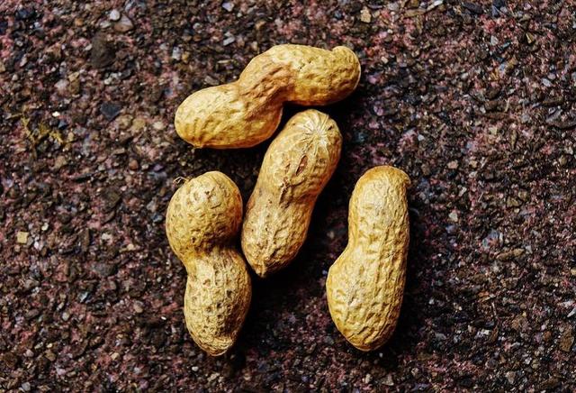 花生米 壳 食品 美味 营养 花生 KNABBERZEUG 吃