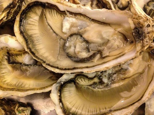 炮弹 海鲜 牡蛎 甲壳类动物