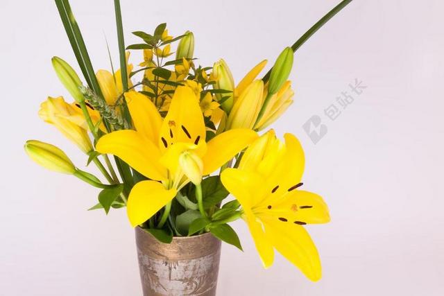 花束 百合 黄色 性质 花 开花 花园 美 美丽的花 香味
