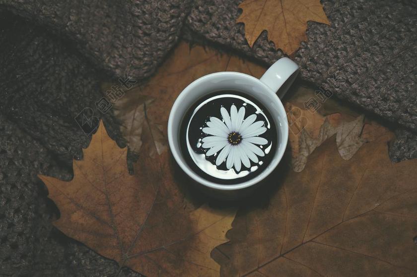 白色的菊花和咖啡背景图片