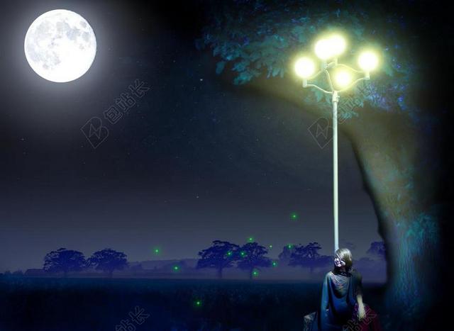 月光 月亮 现场 夜 满月 光 天空 景观 和平 引人注目
