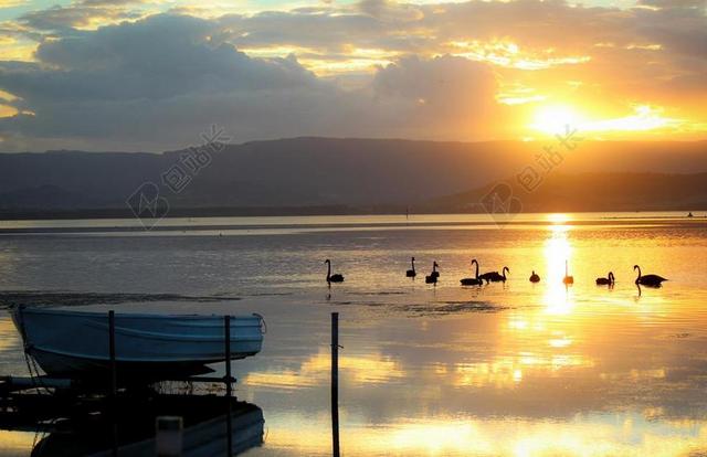船 LAKEILLAWARRA 天鹅 日落 放松 宁静 和平