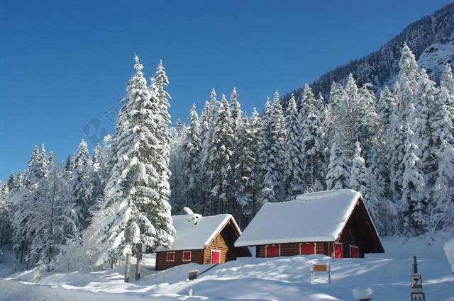 小木屋 阿尔卑斯山 冬天 雪 字段 森林 山