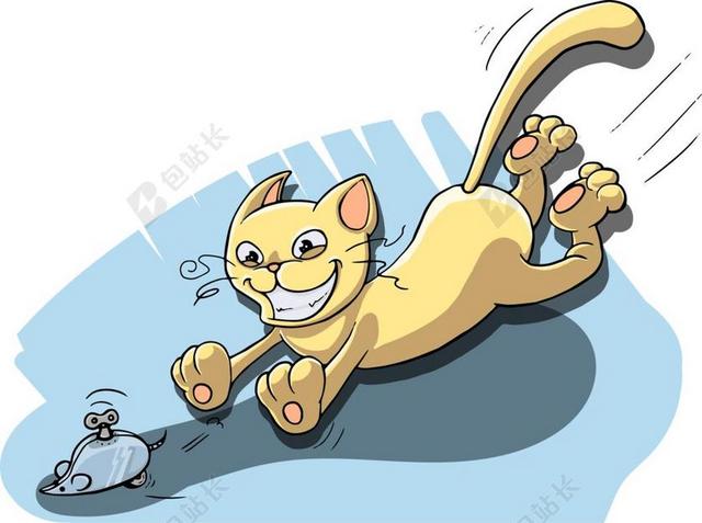 猫 追逐 鼠标 玩具 播放 游戏 播放 玩耍 动物 贵妃