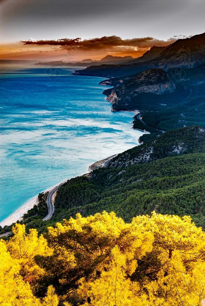 火鸡 海 海洋 海岸线 秋天 秋 森林 伍兹 树 山