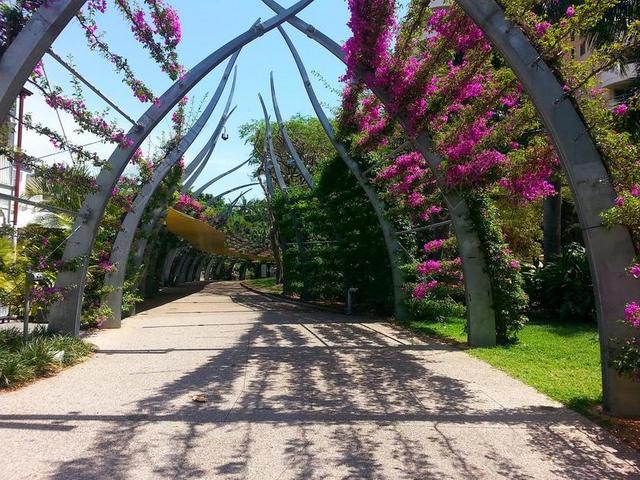 公园花卉自然景观植物园艺苗圃背景图片