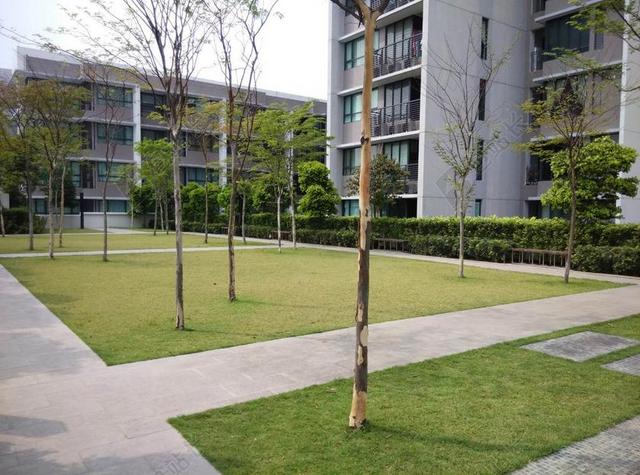 绿色空间城市建筑教育学校居民楼背景图片